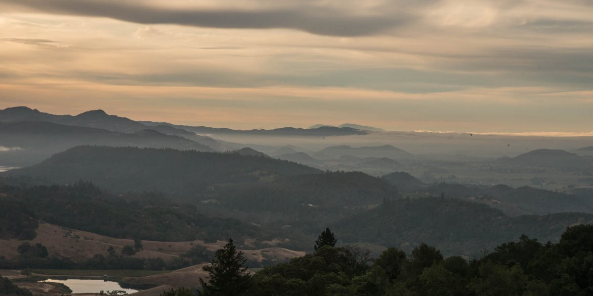 View of La Jota Vineyard from Howell Mountain