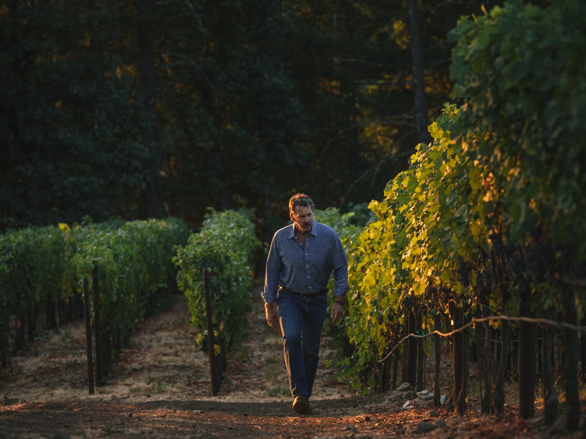 Chris Carpenter walking through a vineyard
